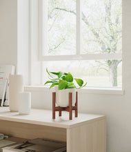 Load image into Gallery viewer, Cotton White stand:walnut