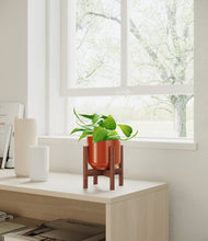 Load image into Gallery viewer, Glossy Red stand:walnut
