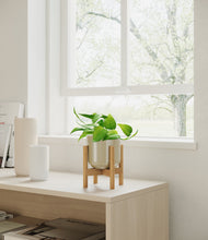Load image into Gallery viewer, Sage Green stand:bamboo