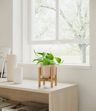 Load image into Gallery viewer, Sandy Pink stand:bamboo