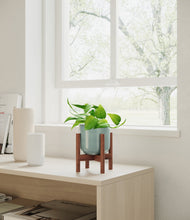 Load image into Gallery viewer, Reactive Aqua stand:walnut