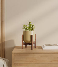 Load image into Gallery viewer, Almond Green stand:walnut