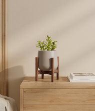 Load image into Gallery viewer, Eternal Gray stand:walnut
