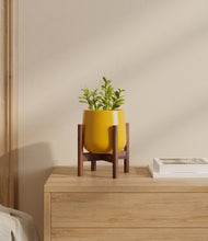 Load image into Gallery viewer, Mustard stand:walnut
