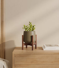 Load image into Gallery viewer, Olive stand:walnut