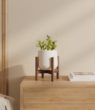Load image into Gallery viewer, White stand:walnut