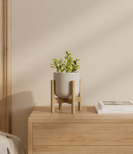 Load image into Gallery viewer, Cotton White stand:bamboo