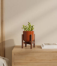 Load image into Gallery viewer, Glossy Red stand:walnut