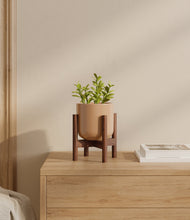 Load image into Gallery viewer, Glossy Pink stand:walnut
