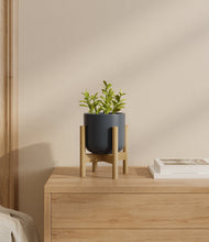 Load image into Gallery viewer, Iron Gray stand:bamboo