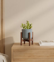 Load image into Gallery viewer, Misty Blue stand:walnut