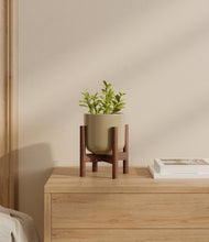 Load image into Gallery viewer, Sage Green stand:walnut