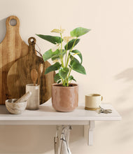 Load image into Gallery viewer, Hammered Peach Pink
