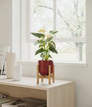 Load image into Gallery viewer, Striped Cherry Red stand:bamboo