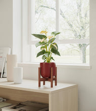 Load image into Gallery viewer, Striped Cherry Red stand:walnut