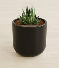 Load image into Gallery viewer, Stone Black stand:all