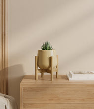 Load image into Gallery viewer, Almond Green stand:bamboo