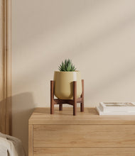 Load image into Gallery viewer, Almond Green stand:walnut