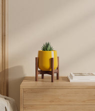 Load image into Gallery viewer, Mustard stand:walnut