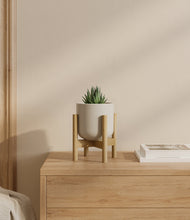 Load image into Gallery viewer, Cotton White stand:bamboo