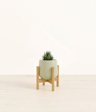 Load image into Gallery viewer, Turquoise stand:bamboo