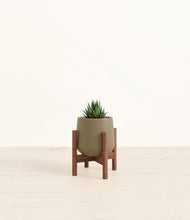 Load image into Gallery viewer, Olive stand:walnut