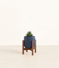 Load image into Gallery viewer, Deep Navy stand:walnut