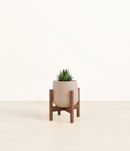 Load image into Gallery viewer, Eternal Gray stand:walnut