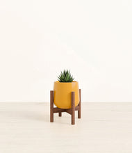 Load image into Gallery viewer, Mustard stand:walnut