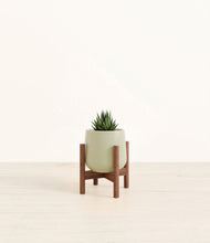 Load image into Gallery viewer, Turquoise stand:walnut
