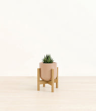 Load image into Gallery viewer, Glossy Pink stand:bamboo