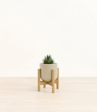 Load image into Gallery viewer, Sage Green stand:bamboo