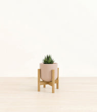 Load image into Gallery viewer, Sandy Pink stand:bamboo