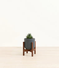 Load image into Gallery viewer, Iron Gray stand:walnut