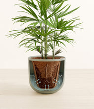 Load image into Gallery viewer, Sage Green stand:all