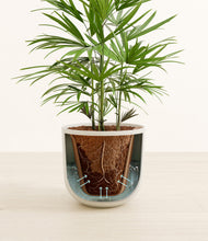 Load image into Gallery viewer, Natural Bamboo stand:all
