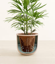 Load image into Gallery viewer, Sandy Pink stand:all
