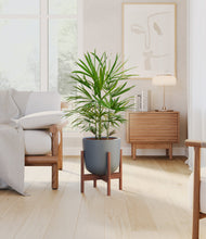 Load image into Gallery viewer, Iron Gray stand:walnut