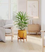 Load image into Gallery viewer, Sunset Orange stand:bamboo