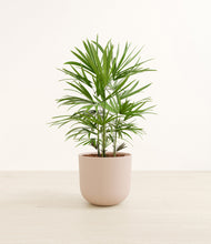 Load image into Gallery viewer, Sandy Pink*****Profile