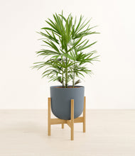 Load image into Gallery viewer, Iron Gray stand:bamboo