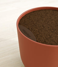 Load image into Gallery viewer, -