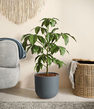 Load image into Gallery viewer, Iron Gray