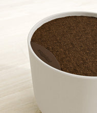 Load image into Gallery viewer, -