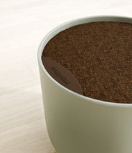 Load image into Gallery viewer, -