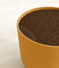 Load image into Gallery viewer, Sunset Orange stand:all