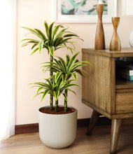 Load image into Gallery viewer, Natural Bamboo