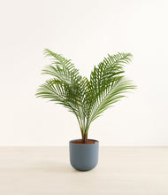 Load image into Gallery viewer, Iron Gray*****Profile