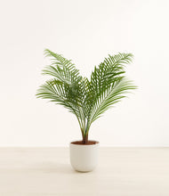 Load image into Gallery viewer, Natural Bamboo*****Profile