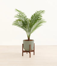 Load image into Gallery viewer, Sage Green stand:walnut